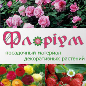 Купить посадочный материал