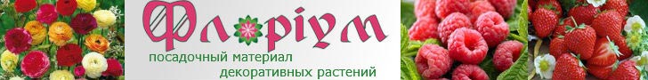 Купить посадочный материал